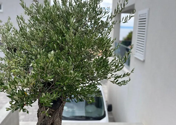 Neue Familienwohnung Meerblick - Klima & Parkplatz